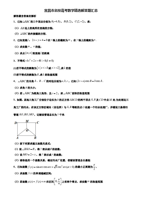 宜昌市名校高考数学精选解答题汇总含解析