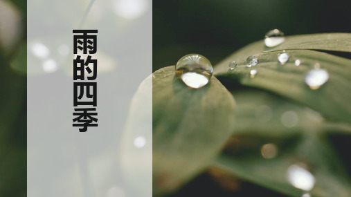 最新统编部编版语文七年级上册《雨的四季》精品教学课件