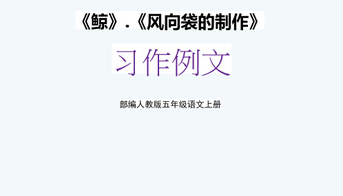 部编人教版五年级语文上册《习作例文：鲸、风向袋的制作》教学课件PPT优秀课件 (1)