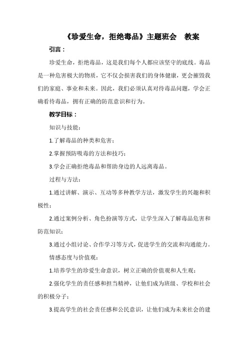 《珍爱生命,拒绝毒品》主题班会  教案