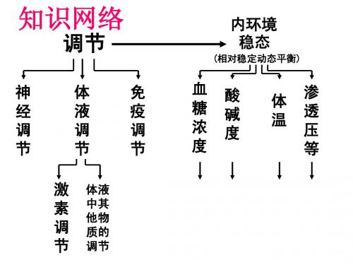 动物的激素调节(一轮复习)