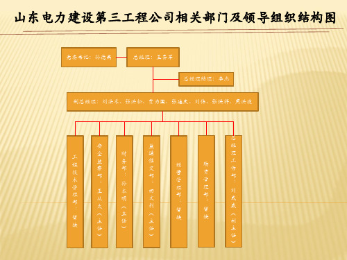 山东电力建设第三工程公司组织结构