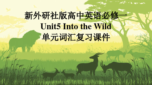 新外研版高中英语必修一Unit5Into the Wild单元词汇复习课件