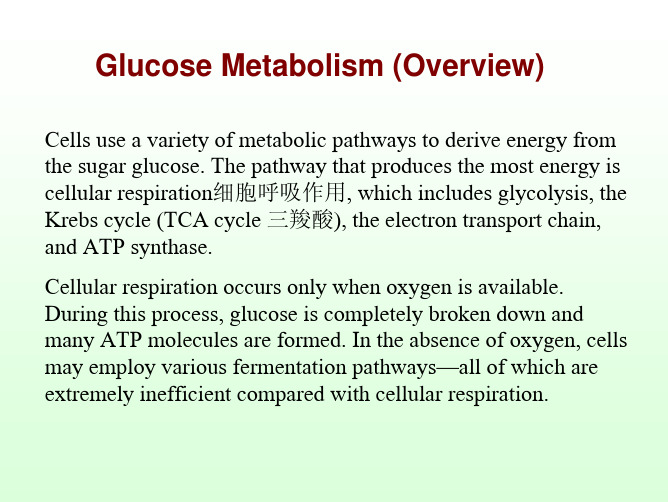 Carbohydrate(一)