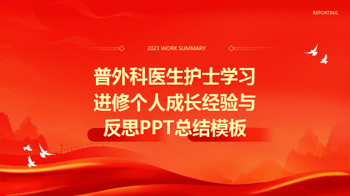 普外科医生护士学习进修个人成长经验与反思PPT总结模板