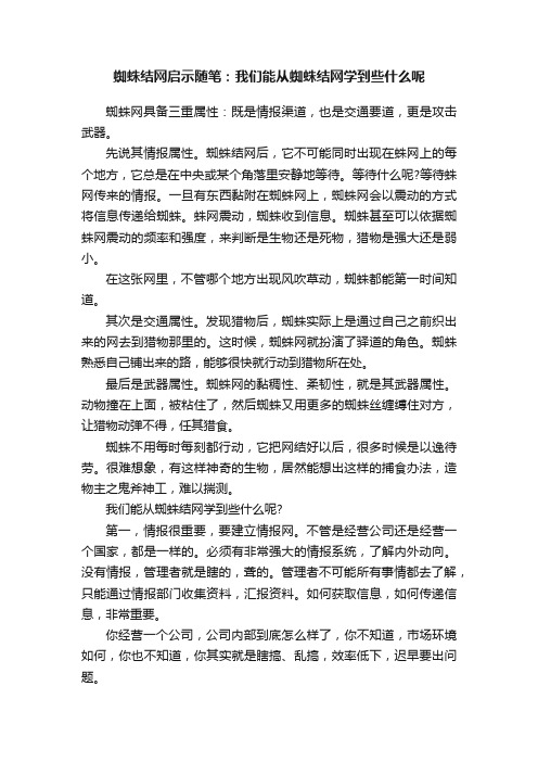 蜘蛛结网启示随笔：我们能从蜘蛛结网学到些什么呢