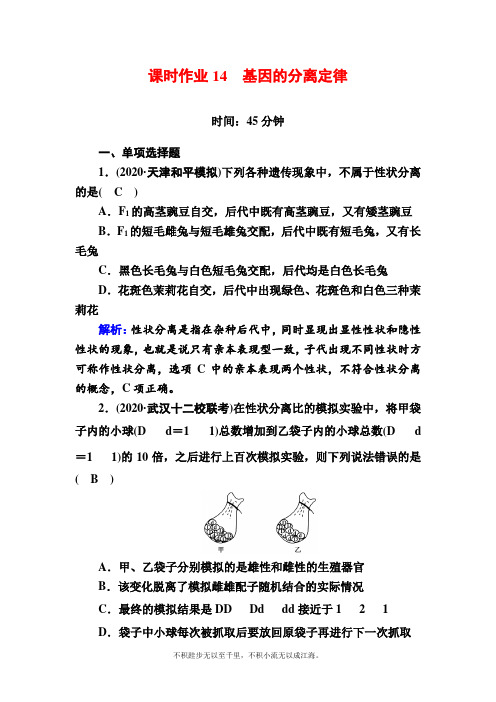 2021新高考生物一轮复习(山东专用)第14讲 基因的分离定律 