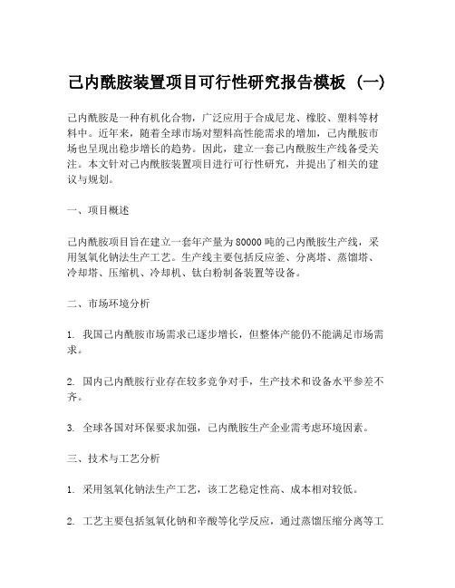 己内酰胺装置项目可行性研究报告模板 (一)