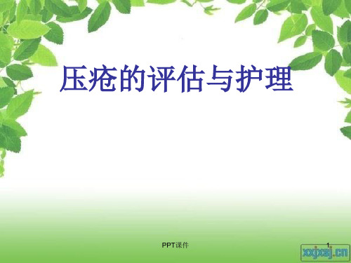 压疮的评估及护理  ppt课件