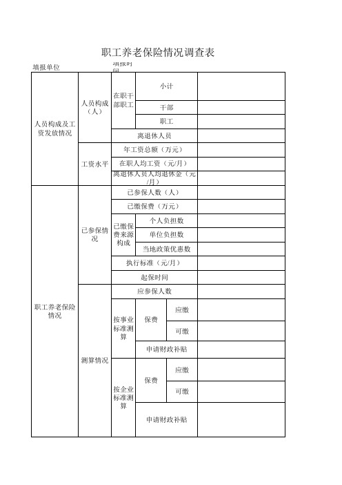 职工养老保险情况调查表Excel 