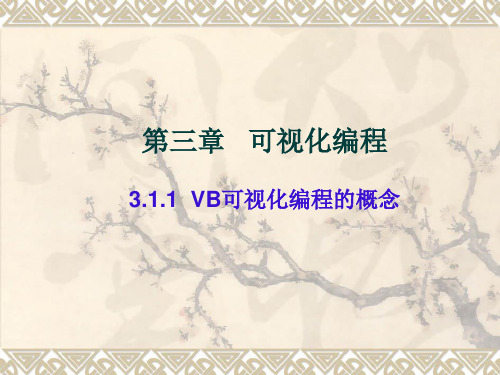 《VB可视化编程的概念》教学课件