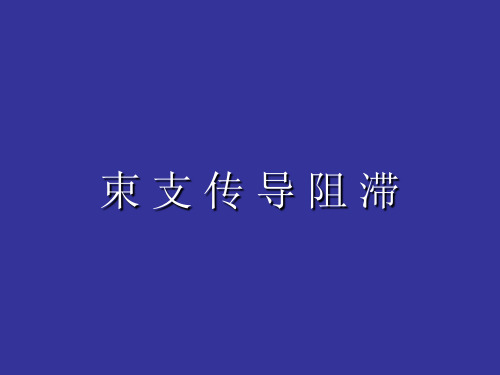 束支传导阻滞