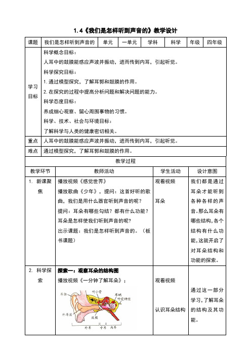 1.4我们是怎样听到声音的教案及反思