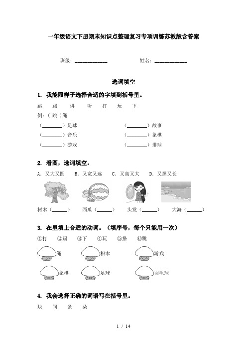 一年级语文下册期末知识点整理复习专项训练苏教版含答案