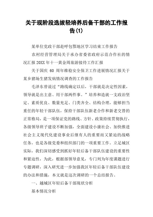 关于现阶段选拔轻培养后备干部的工作报告(1)