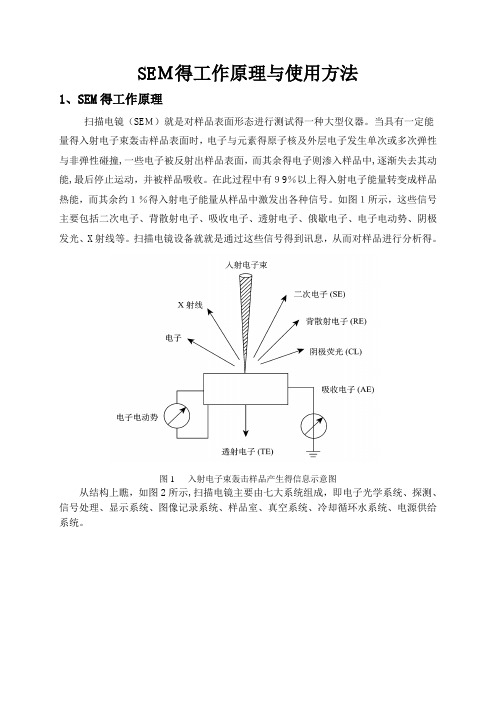 SEM工作原理与使用方法