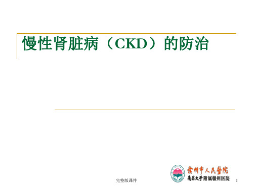 慢性肾脏病(CKD)ppt课件