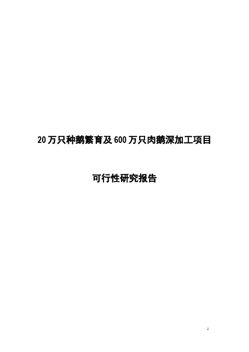 20万只种鹅繁育及600万只肉鹅深加工项目可行性研究报告