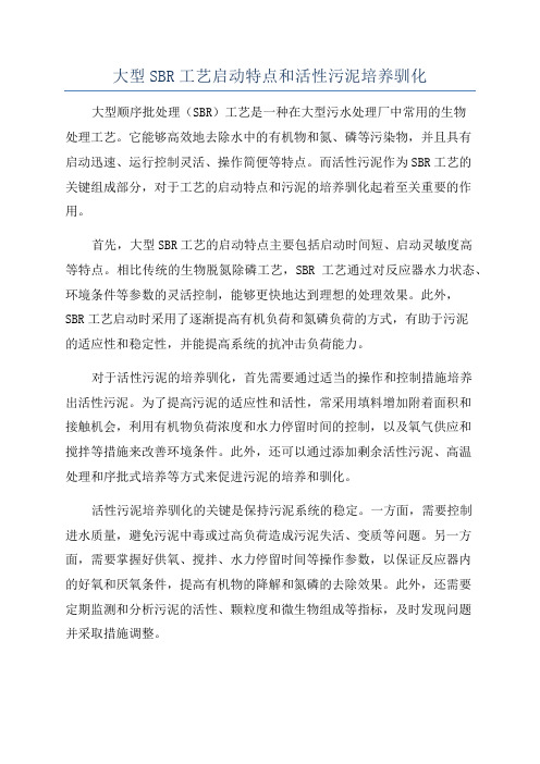 大型SBR工艺启动特点和活性污泥培养驯化