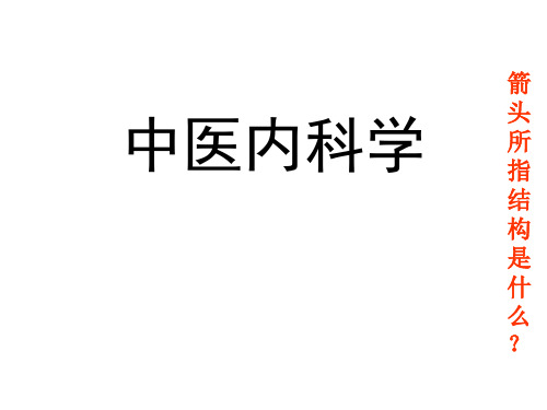 中医内科学-不寐
