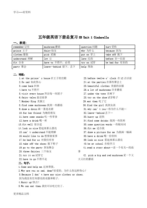 新译林小学英语5B-全册知识点梳理汇编