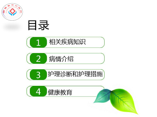 腰椎间盘突出症护理查房(新)