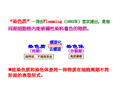 染色体和染色质概述