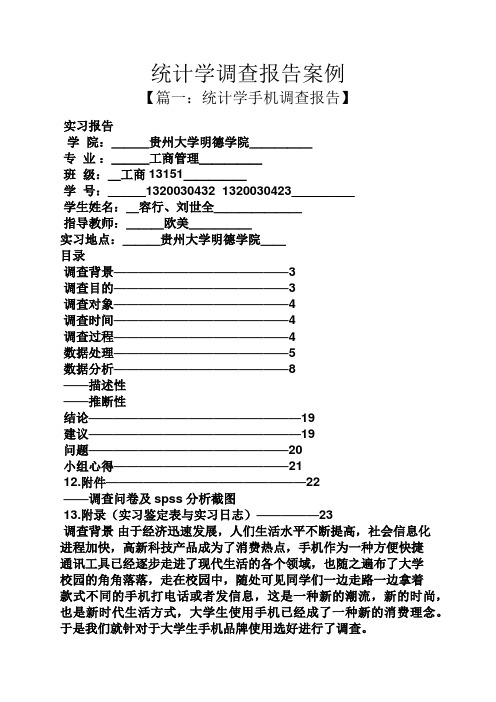 工作报告之统计学调查报告案例