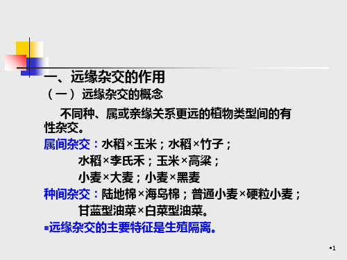 远缘杂交育种PPT幻灯片