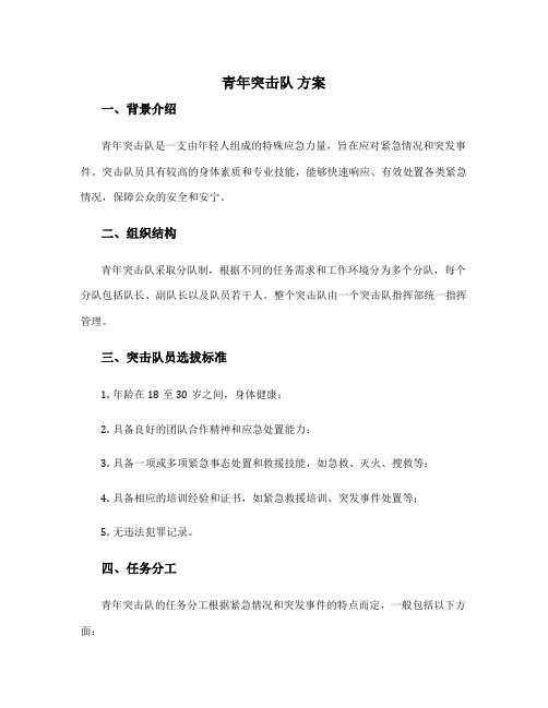 青年突击队 方案