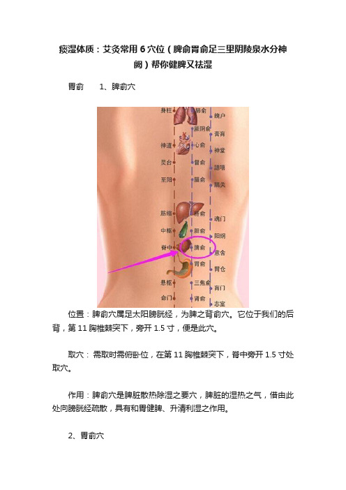 痰湿体质：艾灸常用6穴位（脾俞胃俞足三里阴陵泉水分神阙）帮你健脾又祛湿