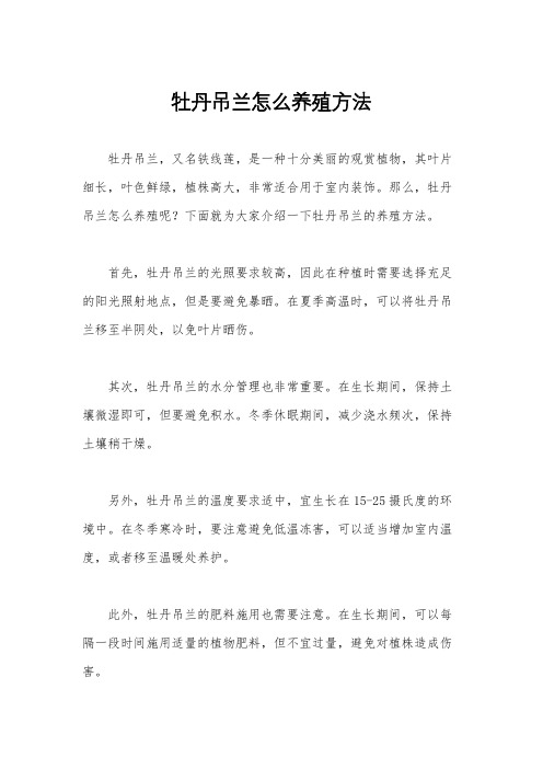 牡丹吊兰怎么养殖方法