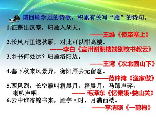 部编本人教版八年级下册语文07.大雁归来