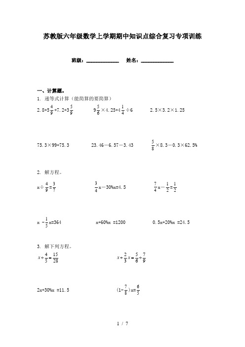 苏教版六年级数学上学期期中知识点综合复习专项训练