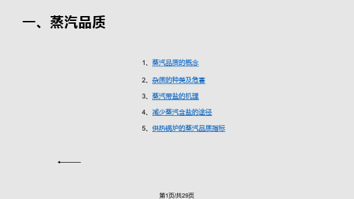 蒸汽锅炉汽水分离PPT课件