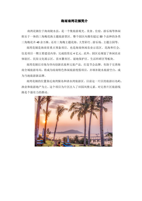 海南南湾花镇简介