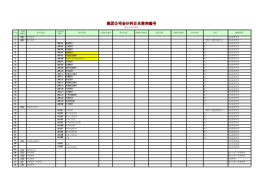 集团公司会计科目表--新准则 (1)