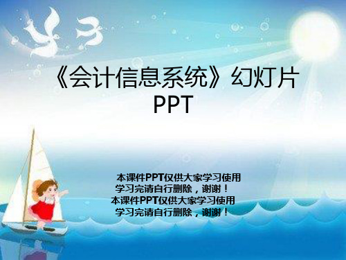 《会计信息系统》幻灯片PPT