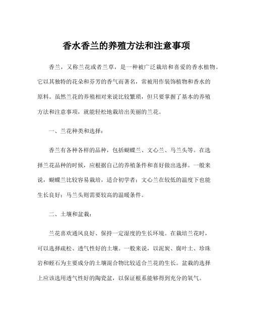 香水香兰的养殖方法和注意事项