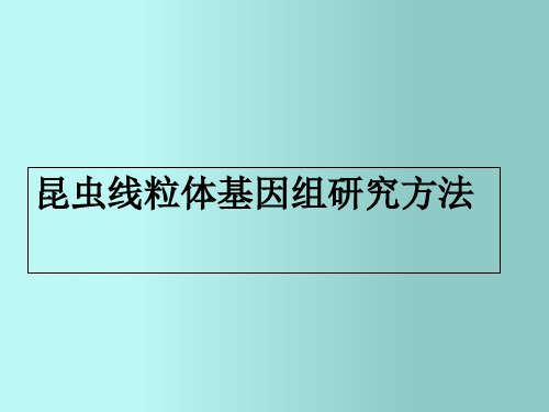 昆虫线粒体基因组研究方法ppt课件