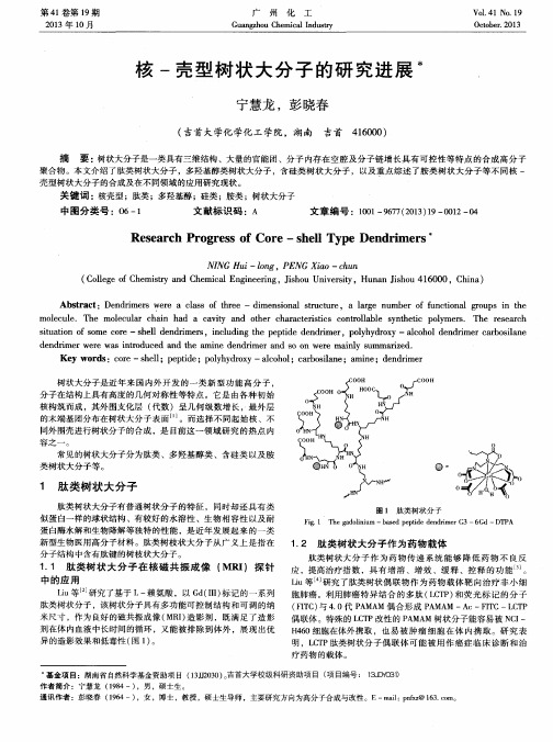 核-壳型树状大分子的研究进展