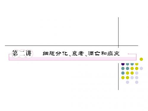 必修一6-2细胞分化、衰老、凋亡和癌变