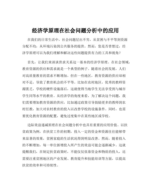 经济学原理在社会问题分析中的应用