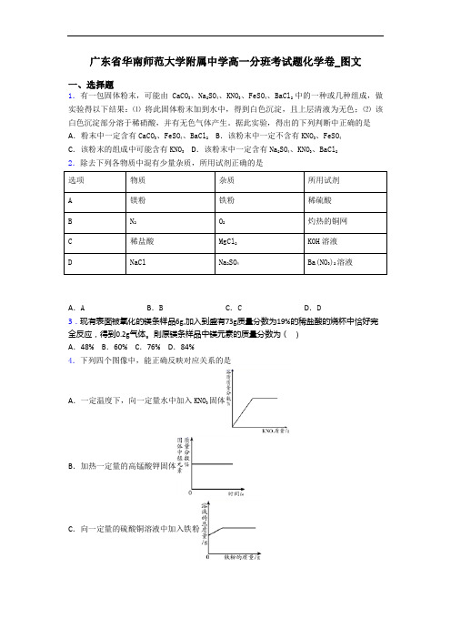 广东省华南师范大学附属中学高一分班考试题化学卷_图文