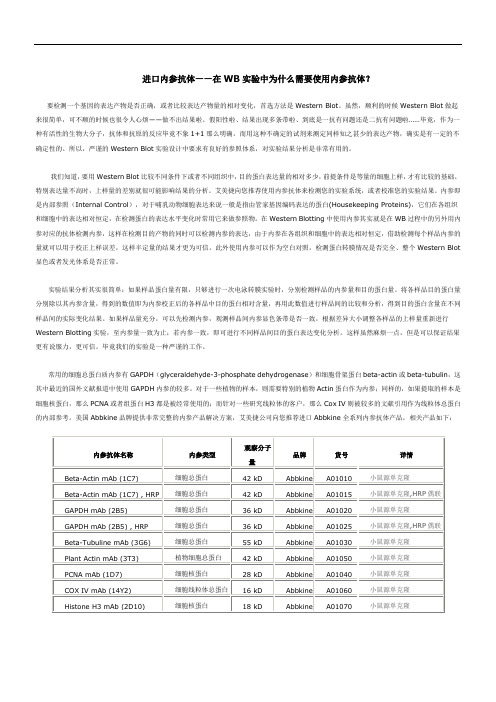 内参抗体和WB实验的关系