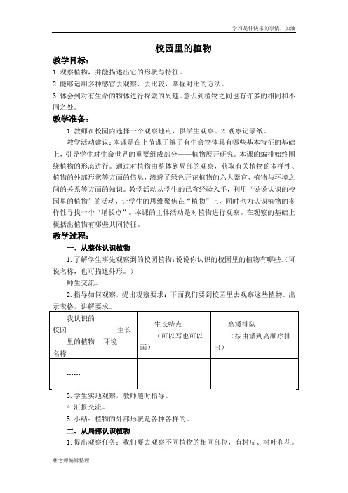 苏教小学科学三上《04校园里的植物》word教案(1)