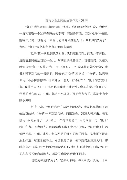 我与小兔之间的故事作文400字