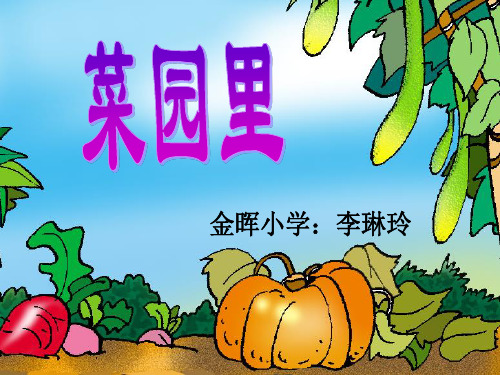 菜园里人教版课件.ppt