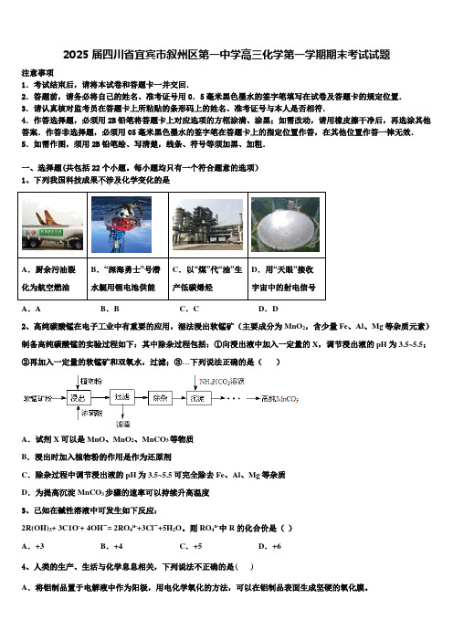 2025届四川省宜宾市叙州区第一中学高三化学第一学期期末考试试题含解析