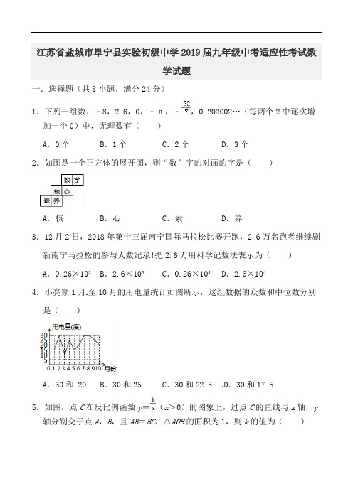 江苏省盐城市阜宁县实验初级中学2019届九年级中考适应性考试数学试题(一)(有解析)